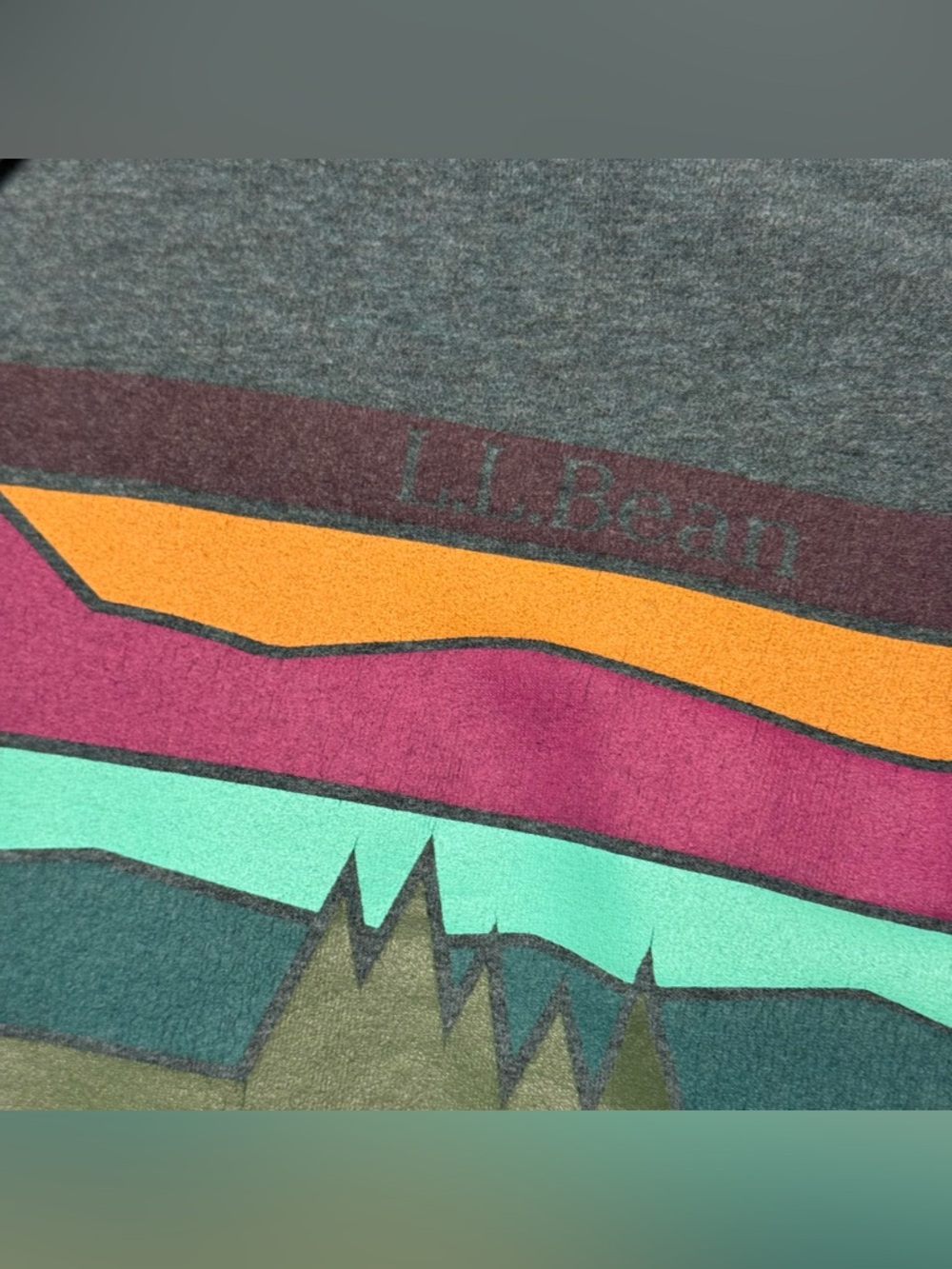 LL Bean Camp Hoodie Womens Medium Tall Blue Green Mountain Graphic Sweatshirt - Picture 3 of 8